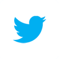 Twitter / X